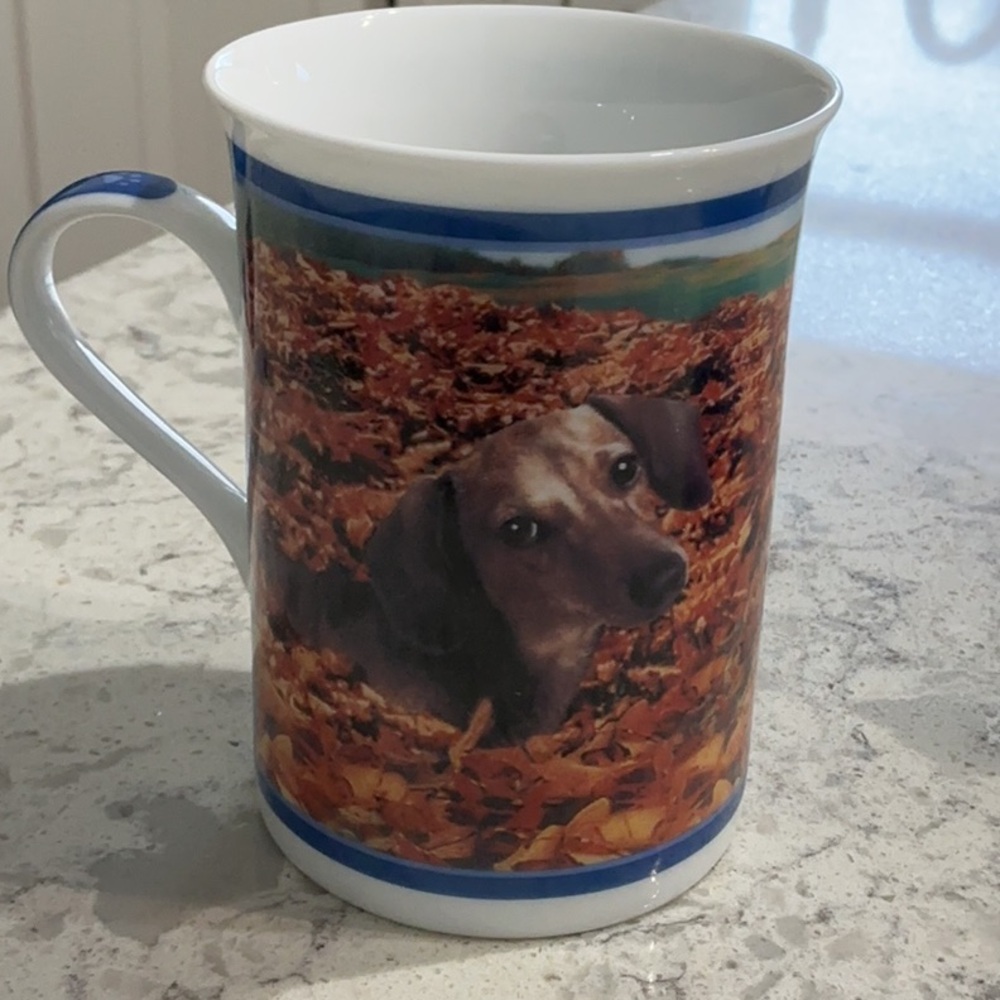 Danbury Mint Darling Dachshunds Decorative Collector’s Mug. Fall Day